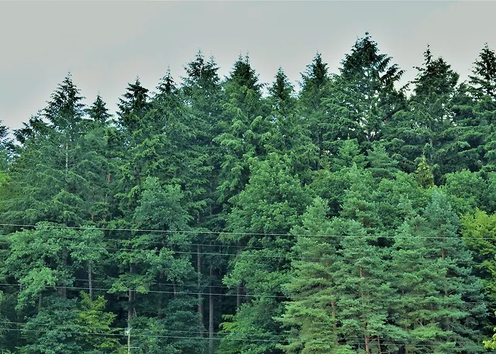 Bad Bruckhaus Erlebnishotel *